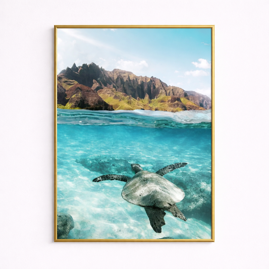 Into the Blue – Turtle Poster
