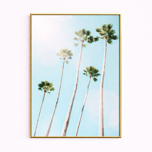 Coastal Calm – Palm Tree Poster